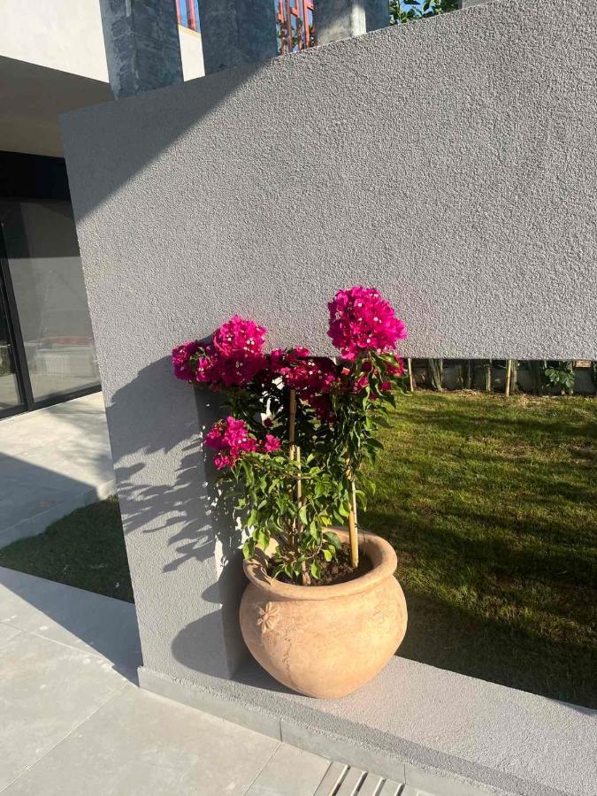 Grand Kourouta Villa ภายนอก รูปภาพ